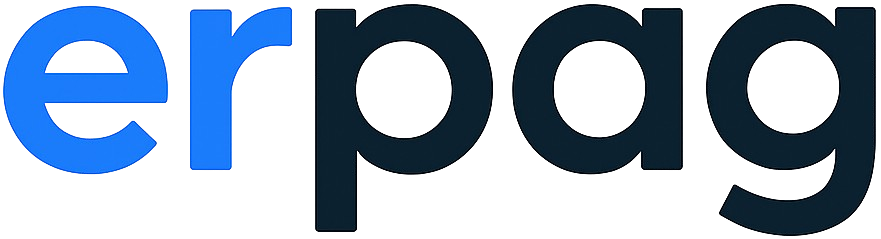 DataPay Logo